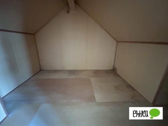 �y���̑��z�@���[