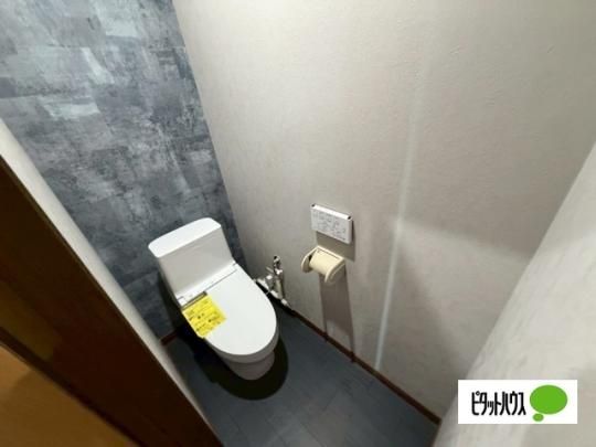 �y���̑��z�@�g�C��