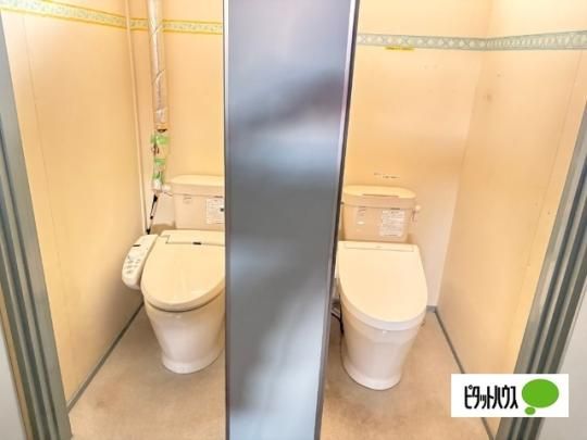 �y���̑��z�@�g�C��