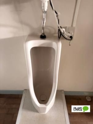 �y���̑��z�@�g�C��