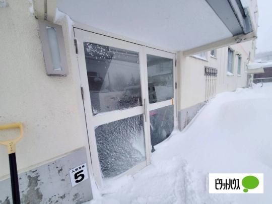 �y�����O�ρz�@�G���g�����X