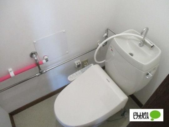 �y���̑��z�@�g�C��