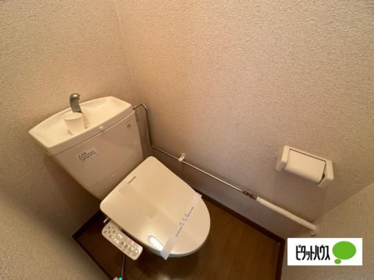 �y���̑��z�@�g�C��