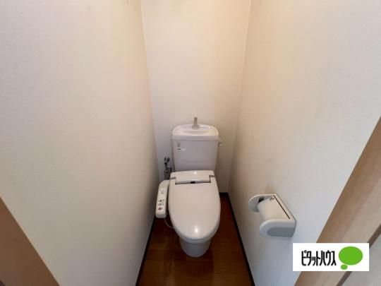 �y���̑��z�@�g�C��