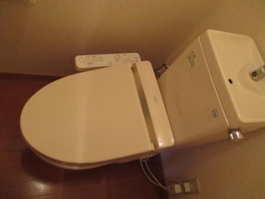 �y���̑��z�@�g�C��
