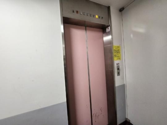�y�����O�ρz�@���r�[