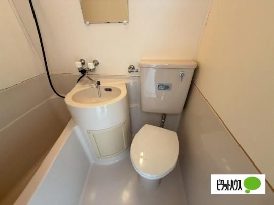 �y���̑��z�@�g�C��