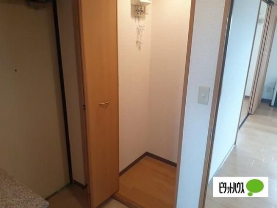 �y���̑��z�@���[