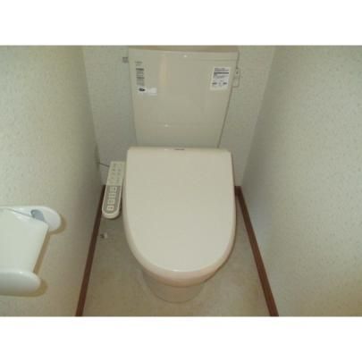 �y���̑��z�@�g�C��