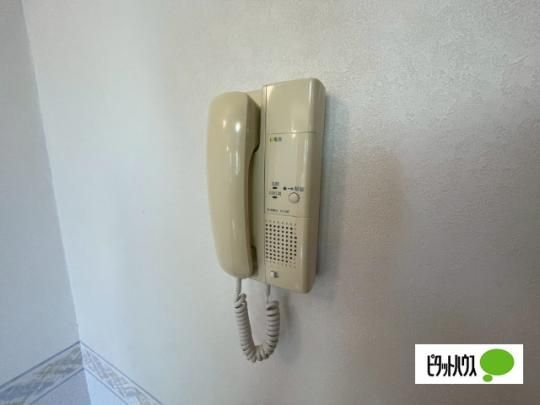 �y���̑��z�@�Z�L�����e�B