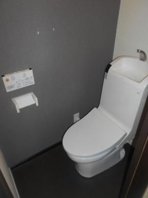 �y���̑��z�@�g�C��