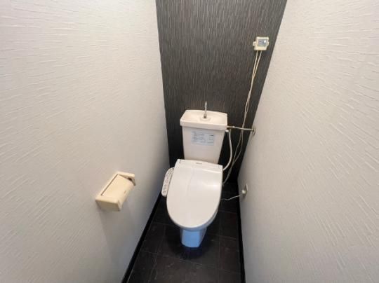 �y���̑��z�@�g�C��