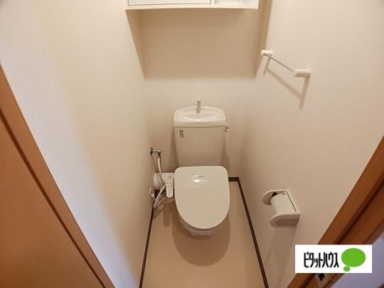 �y���̑��z�@�g�C��