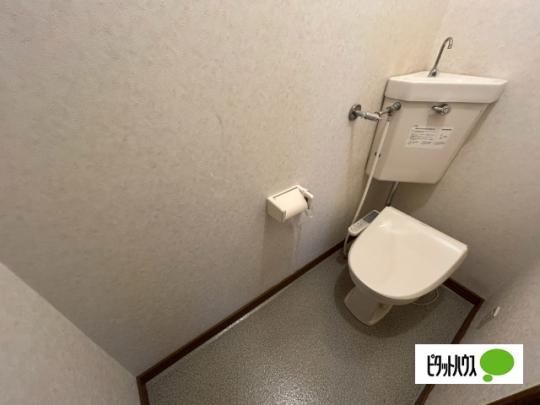 �y���̑��z�@�g�C��