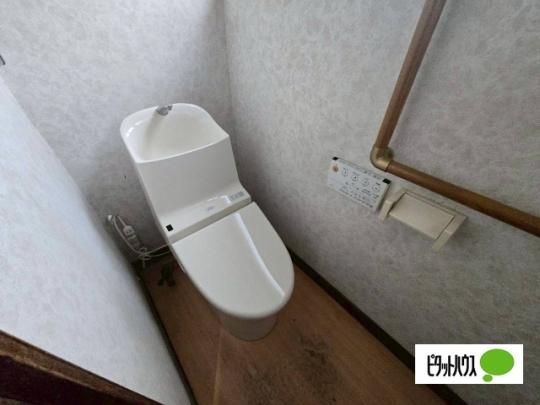 �y���̑��z�@�g�C��