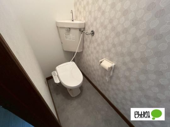 �y���̑��z�@�g�C��