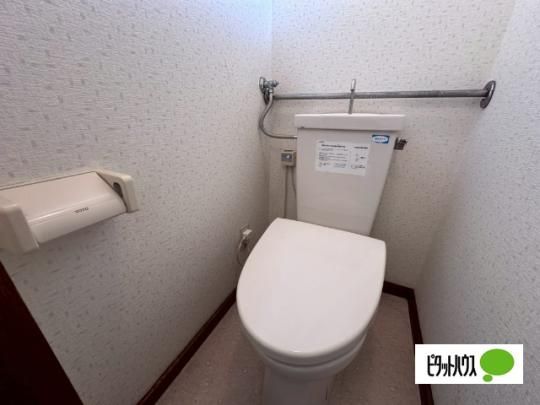 �y���̑��z�@�g�C��