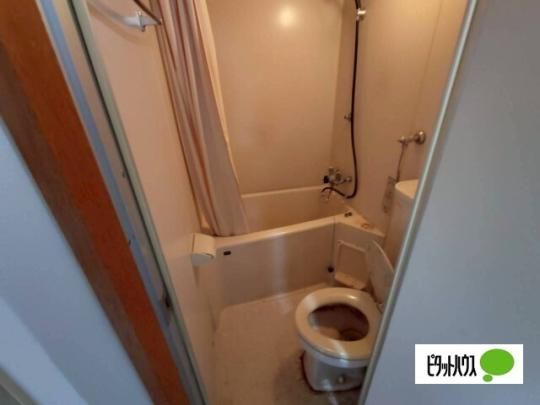 �y���̑��z�@�g�C��