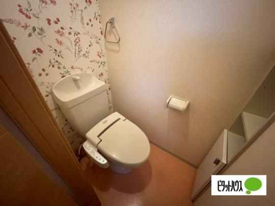 �y���̑��z�@�g�C��