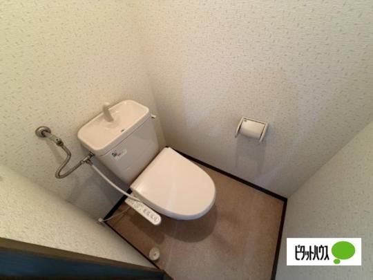 �y���̑��z�@�g�C��