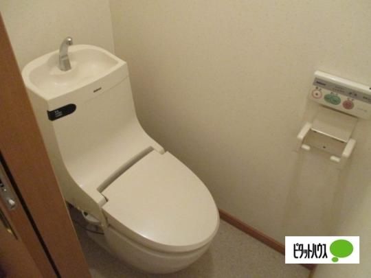�y���̑��z�@�g�C��