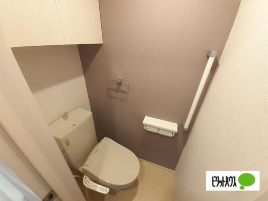 �y���̑��z�@�g�C��
