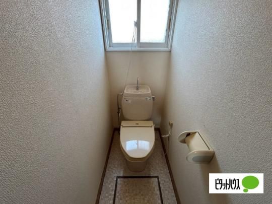 �y���̑��z�@�g�C��