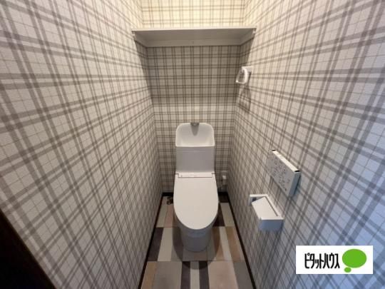 �y���̑��z�@�g�C��