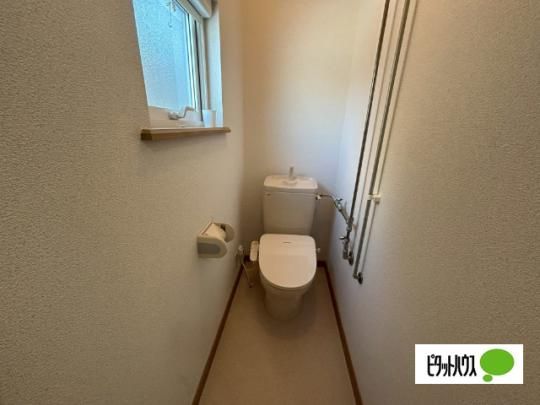 �y���̑��z�@�g�C��