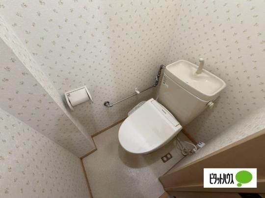 �y���̑��z�@�g�C��