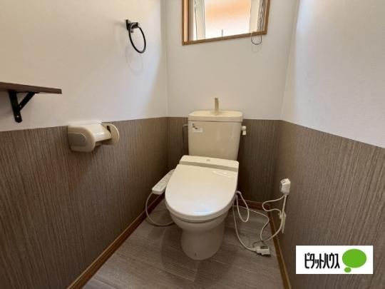 �y���̑��z�@�g�C��