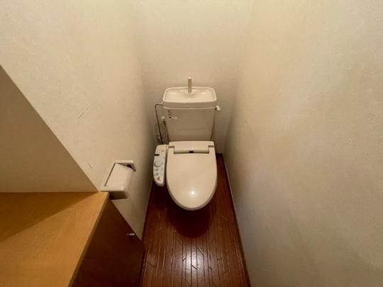 �y���̑��z�@�g�C��