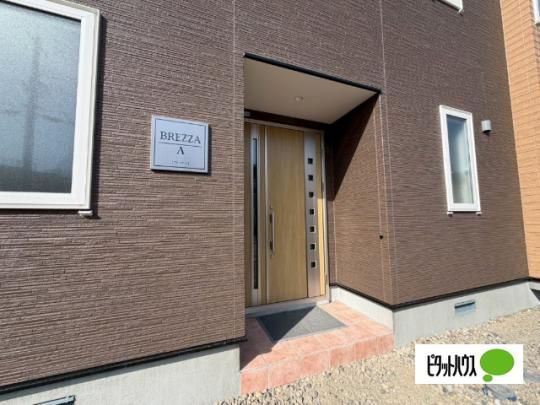 �y�����O�ρz�@�G���g�����X