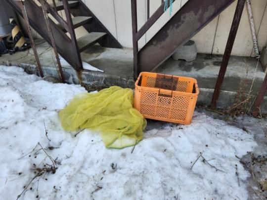 �y�����O�ρz�@���L����