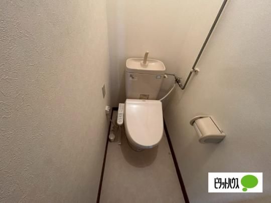 �y���̑��z�@�g�C��