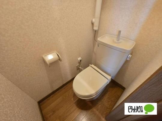�y���̑��z�@�g�C��