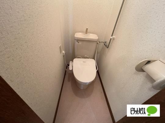 �y���̑��z�@�g�C��