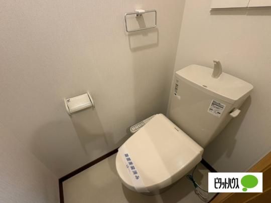 �y���̑��z�@�g�C��