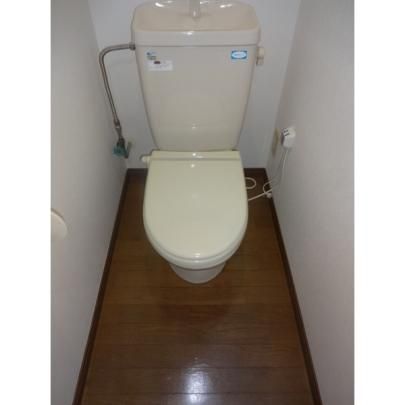 �y���̑��z�@�g�C��