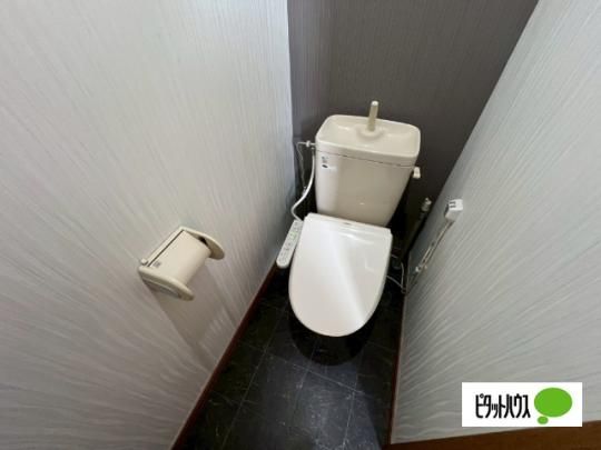 �y���̑��z�@�g�C��