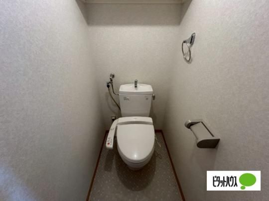 �y���̑��z�@�g�C��