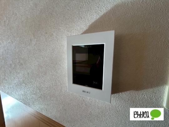 �y���̑��z�@�Z�L�����e�B