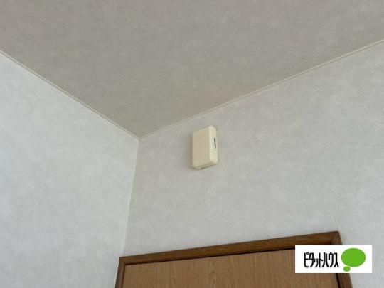 �y���̑��z�@�Z�L�����e�B