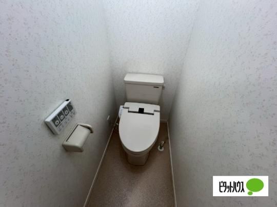 �y���̑��z�@�g�C��