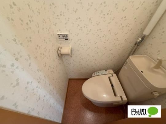 �y���̑��z�@�g�C��