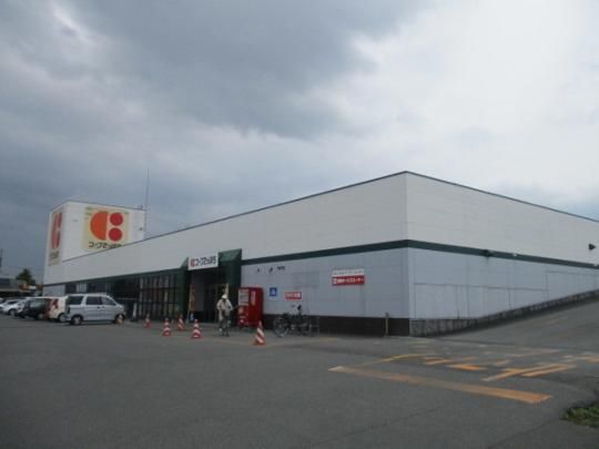 �y���Ӂz�@�R�[�v�����ۂ�c�C���n�[�v�X�F1010m