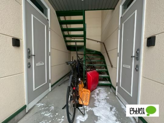 �y�����O�ρz�@�G���g�����X