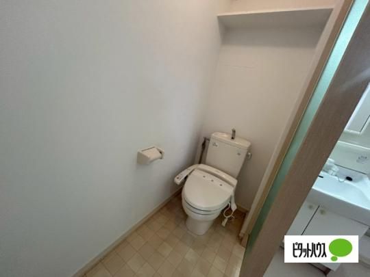 �y���̑��z�@�g�C��
