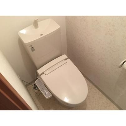 �y���̑��z�@�g�C��