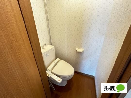 �y���̑��z�@�g�C��